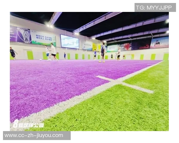 探索元素足球公园的魅力与乐趣体验尽享足球激情与友谊的完美结合